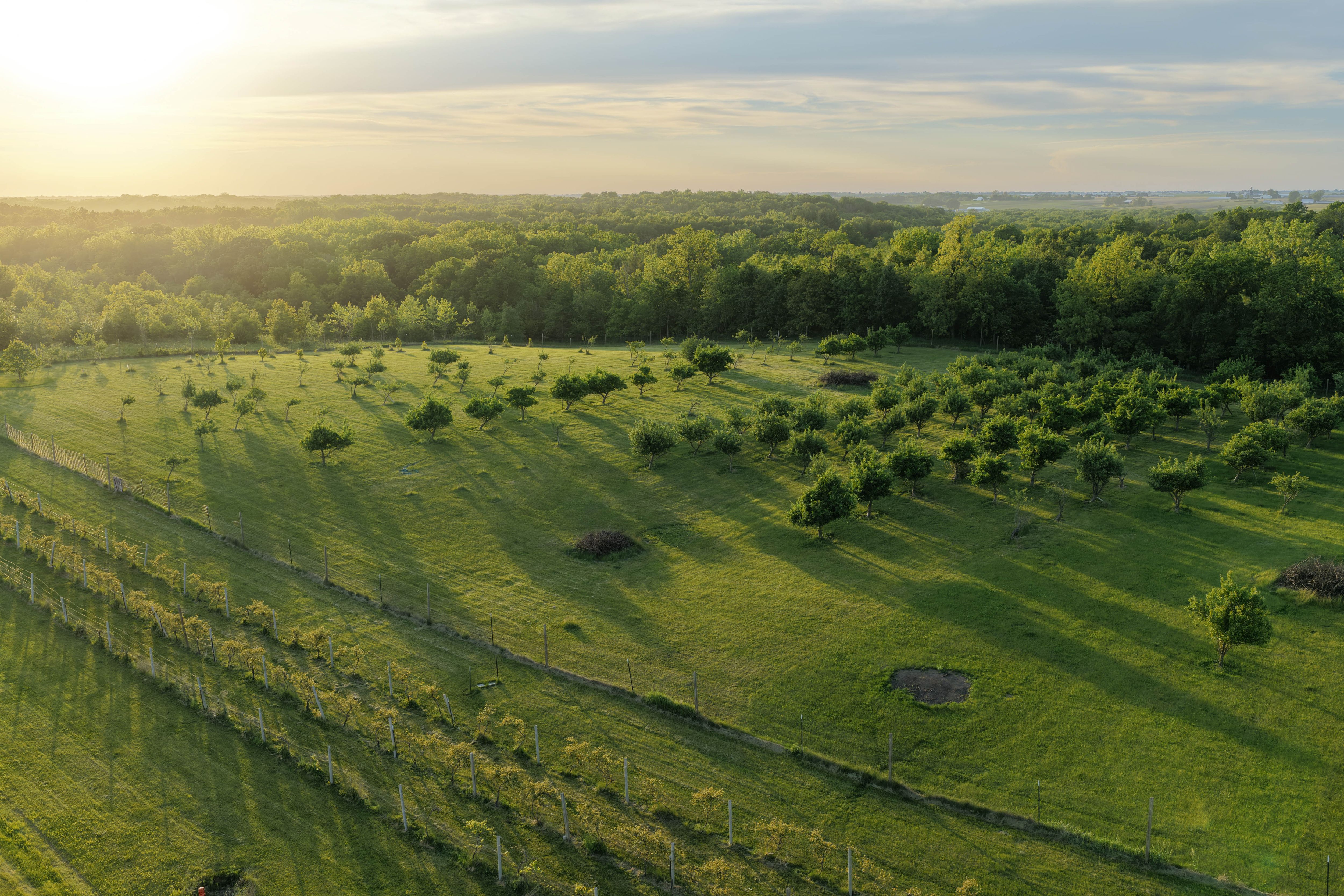 Listing Photo: Washington County Iowa Recreational Land For Sale-45